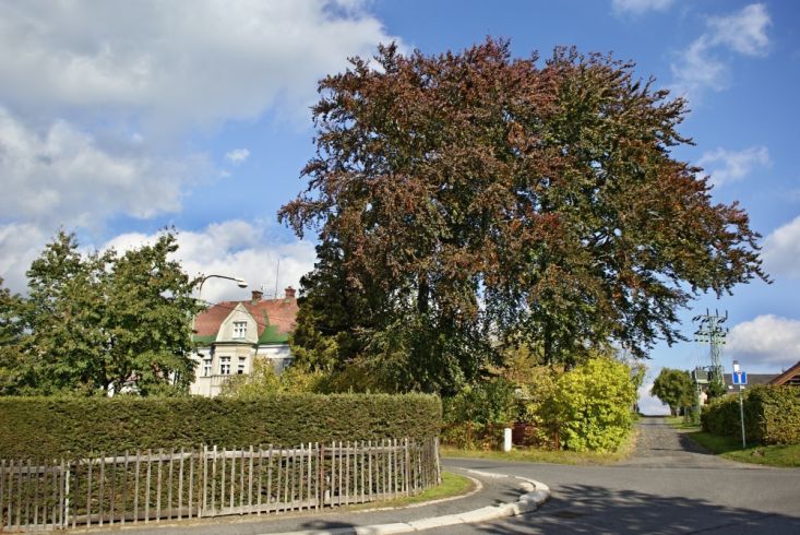 Křižovatka u úřadu