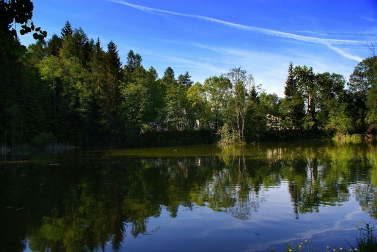 Rybník 