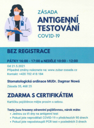 Antigenní testování